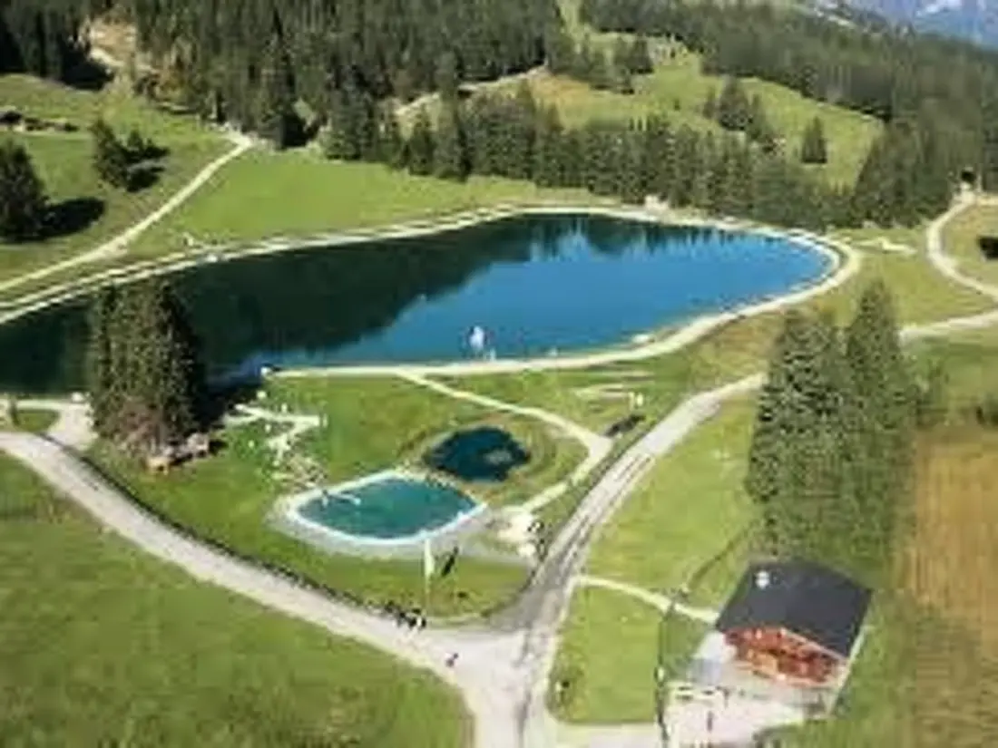 Résidence Alpine Lodge