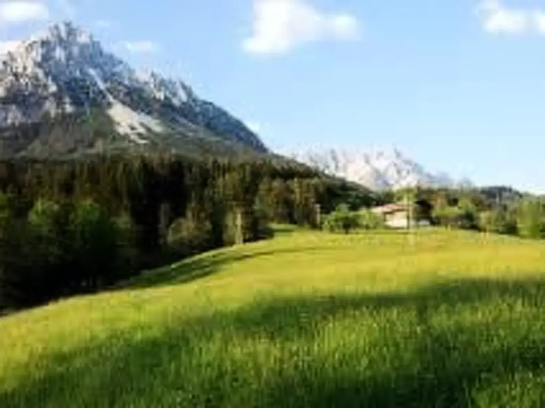 Résidence Alpine Lodge
