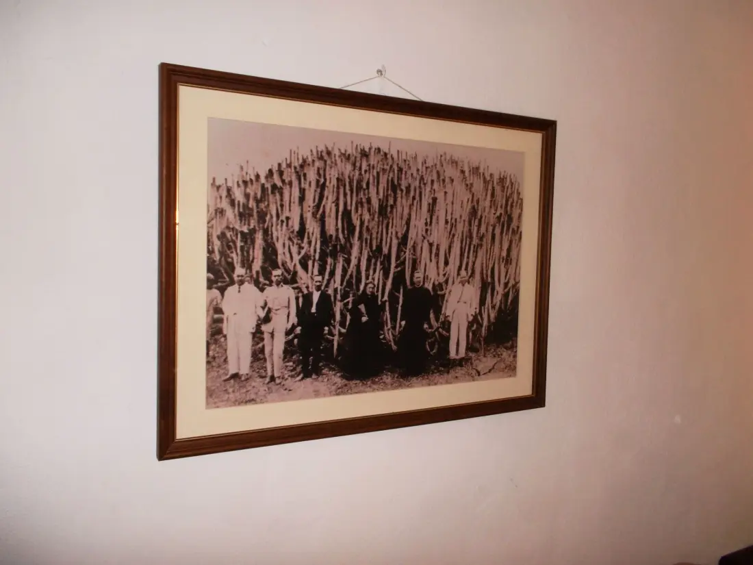Maison de Vacances Buenavista del Norte