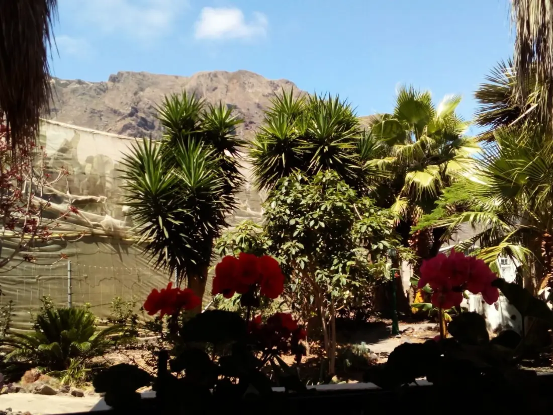 Maison de Vacances Buenavista del Norte