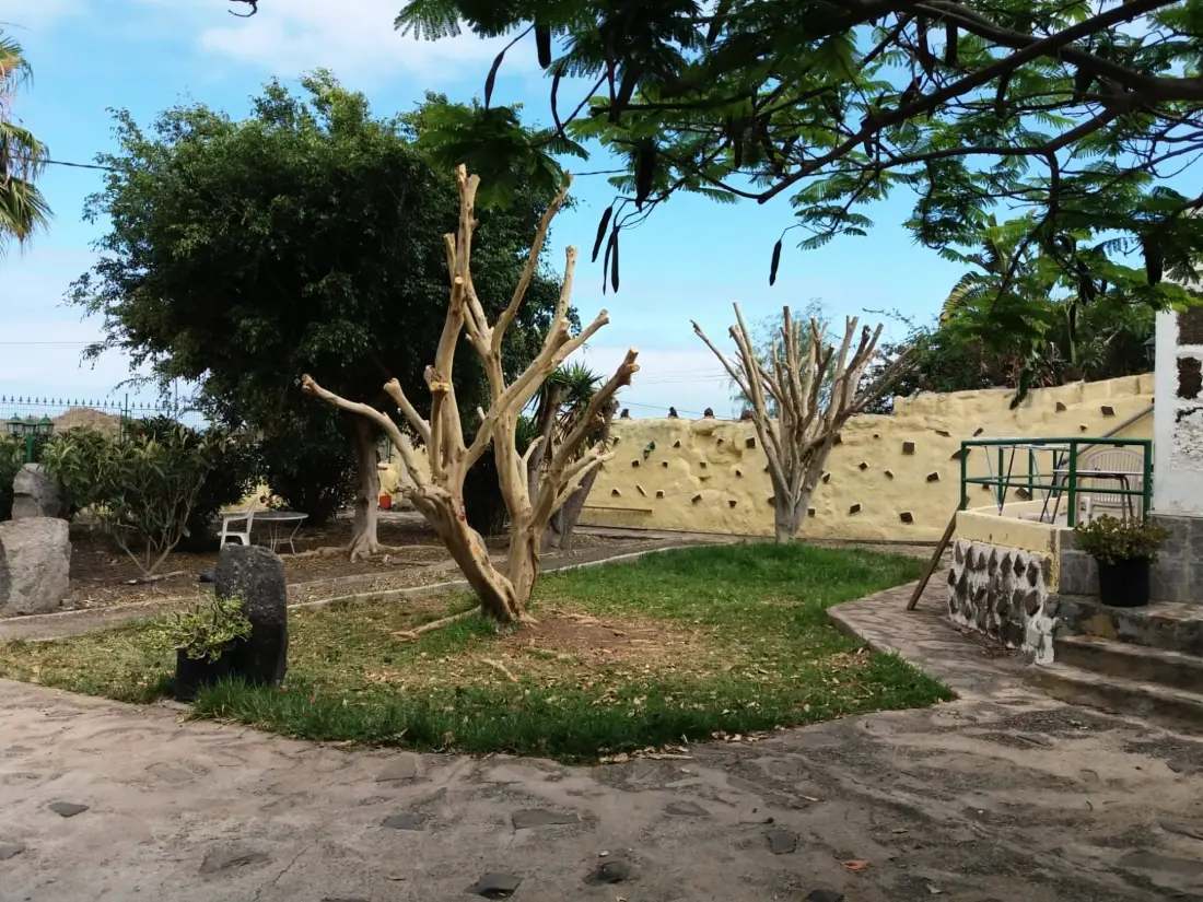 Maison de Vacances Buenavista del Norte