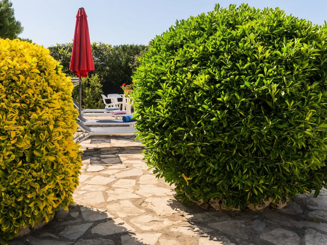 Maison de Vacances Búger
