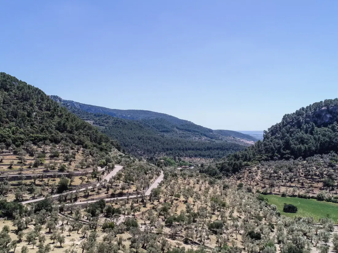 Maison de Vacances Bunyola
