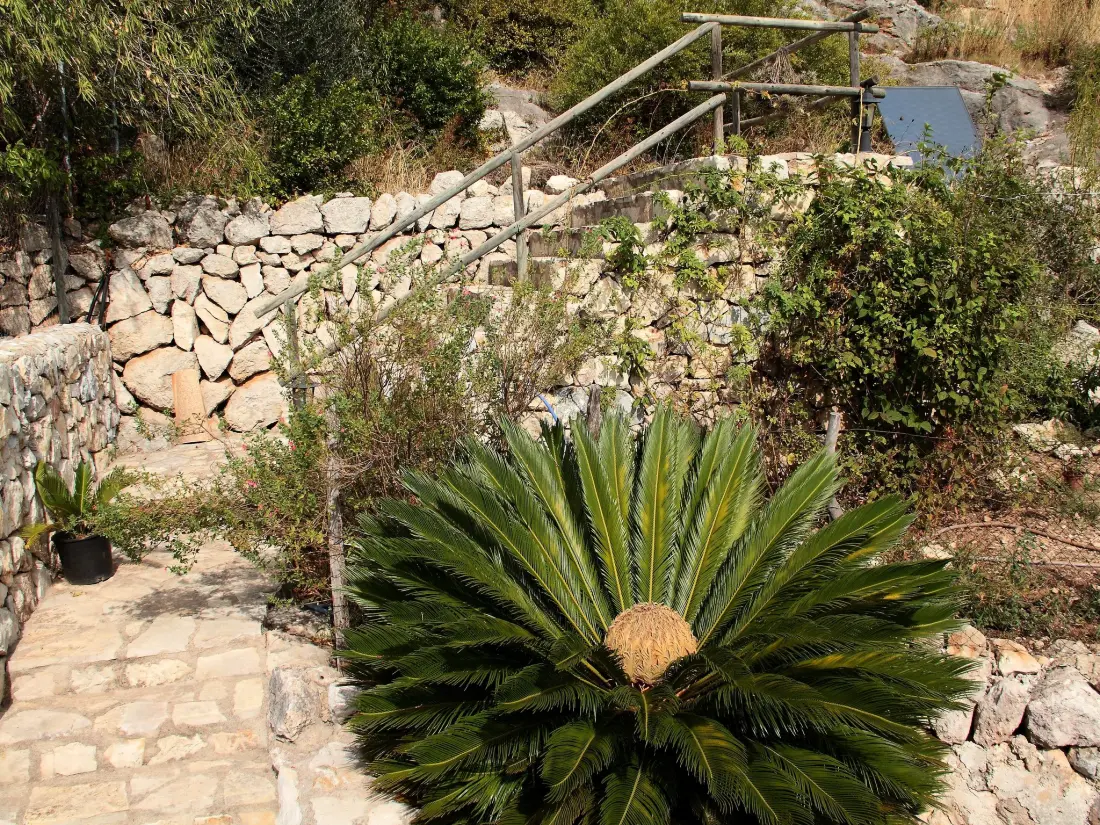 Maison de Vacances Caimari