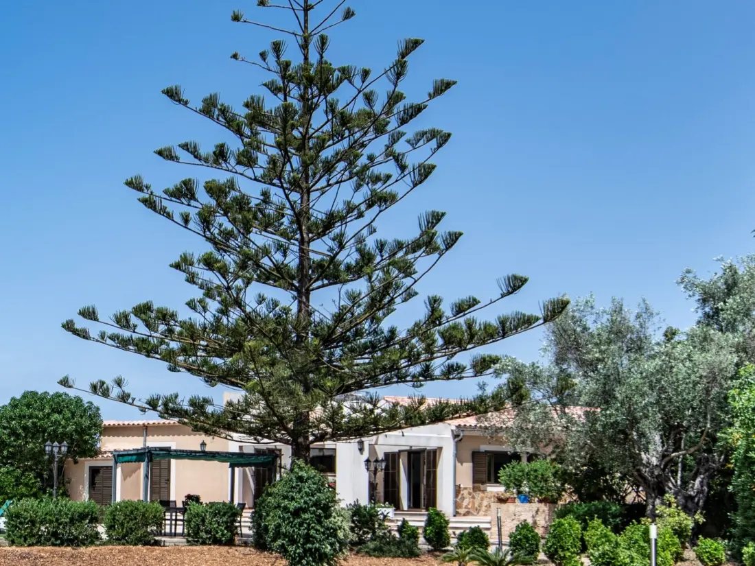 Maison de Vacances Cala Bona