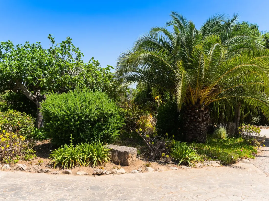 Maison de Vacances Cala d'Or