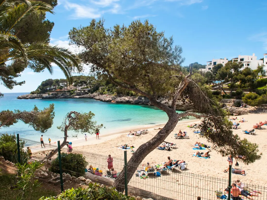 Résidence Playa Dor 17