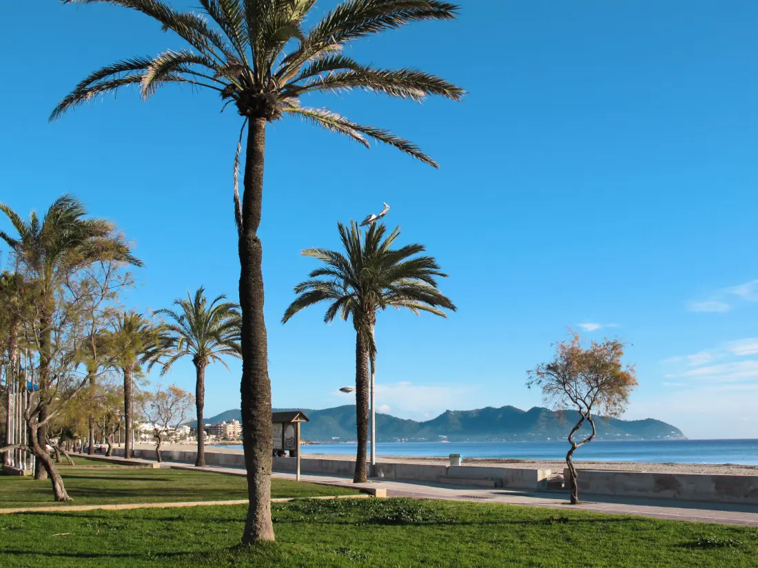 Résidence S'Illot-Cala Morlanda