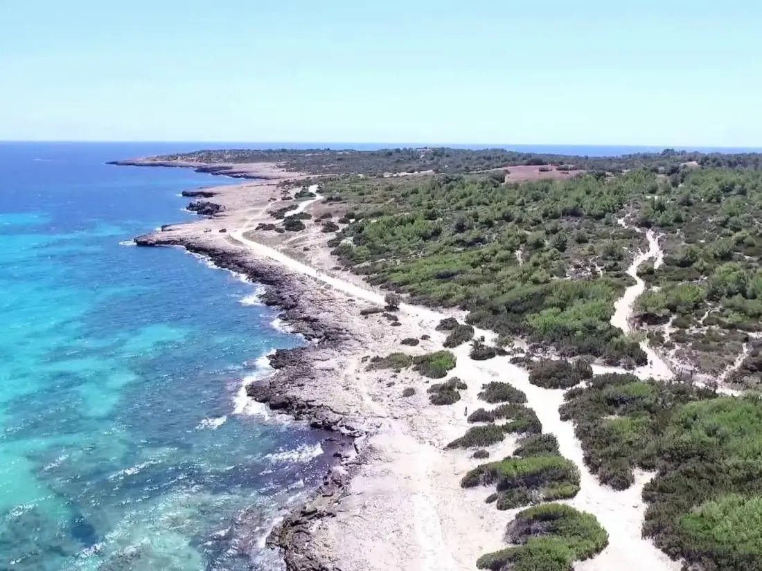 Résidence Wohnung in Cala Millor Los Rosales
