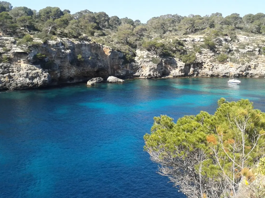 Résidence THE TORRENT'S OBSERVER HOLIDAY HOME ( CALA PI ) Smart TV ( Netflix ) Air Condit