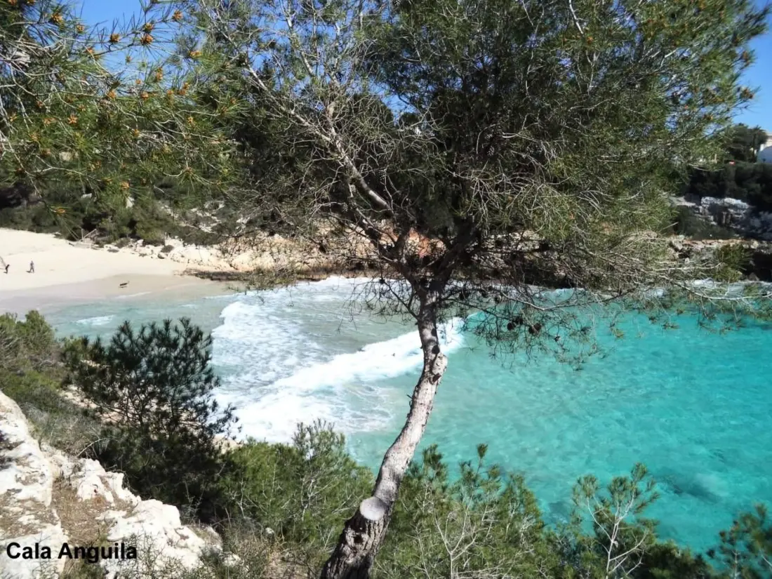 Maison de Vacances Cala Romántica