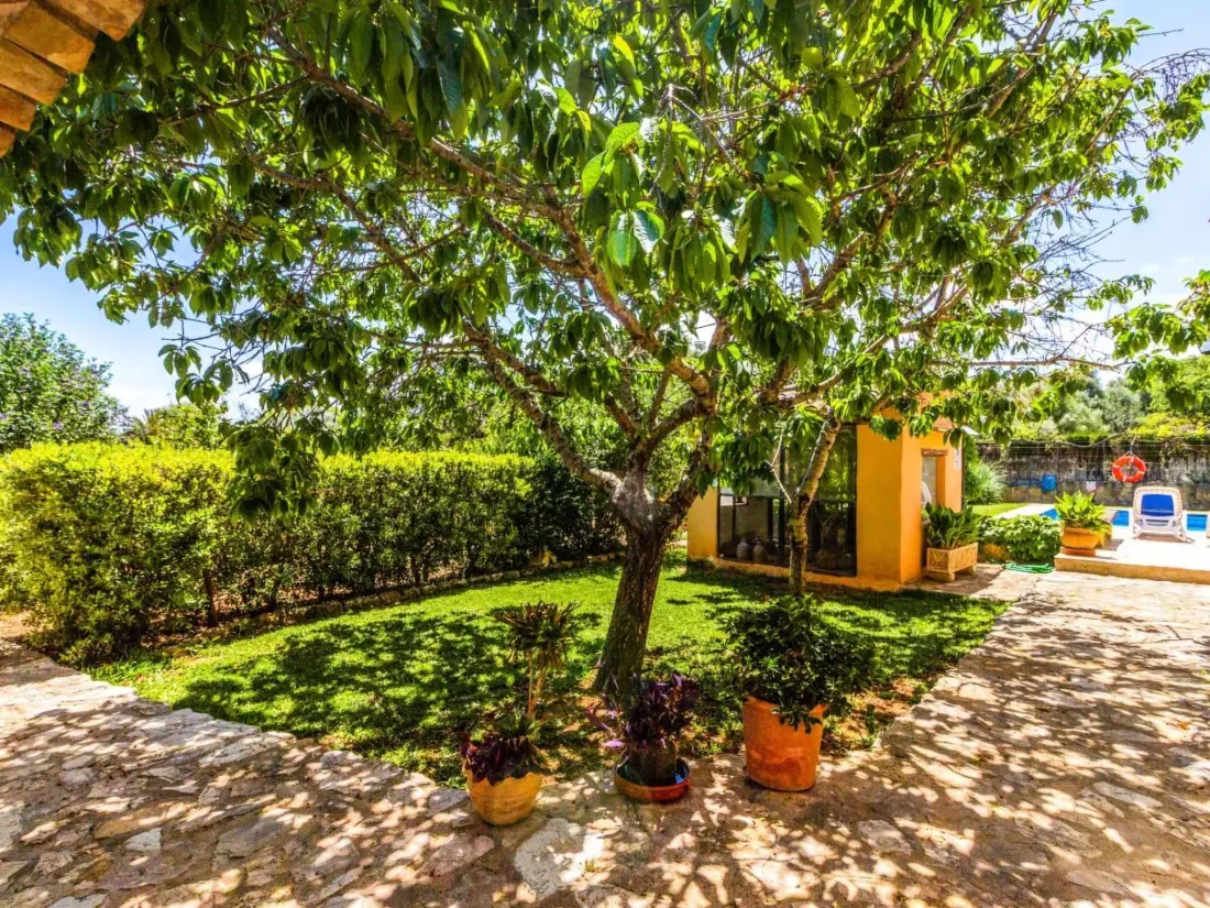 Maison de Vacances Cala San Vicente