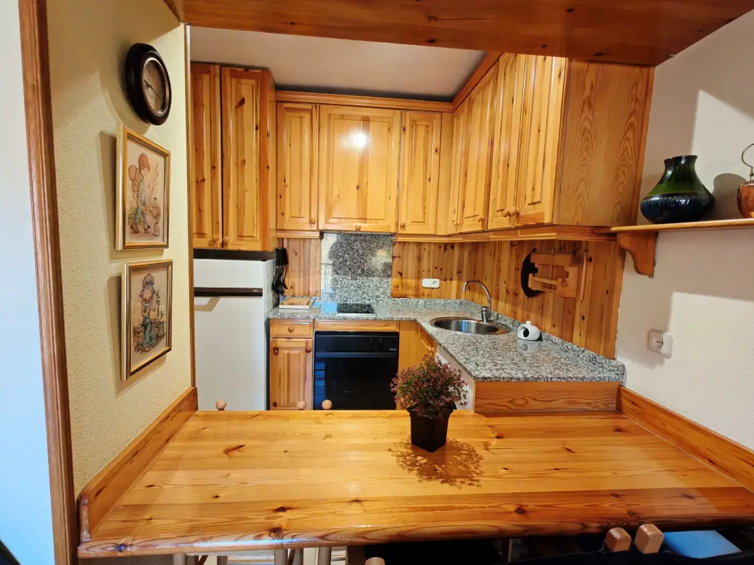 Résidence Wohnung mit direktem Licht Falcó 16 Vall de Boí