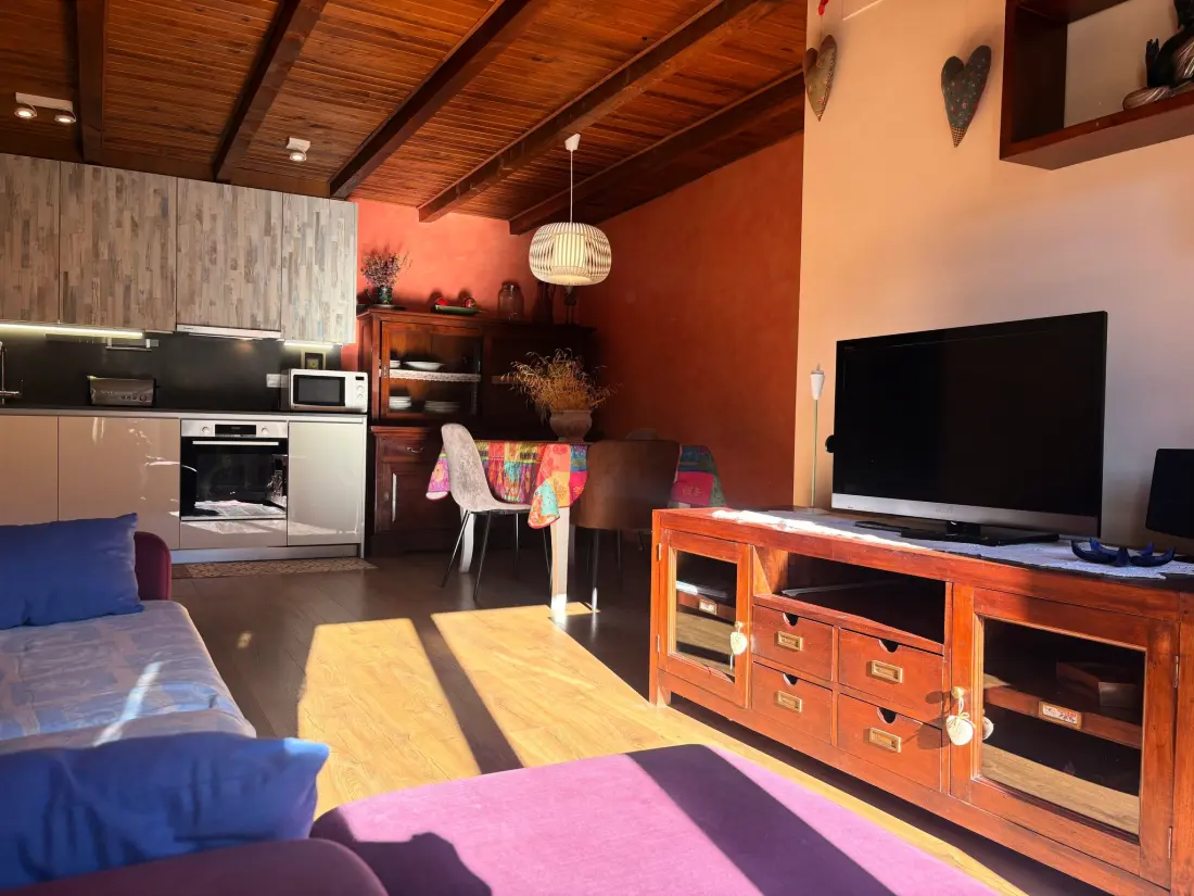 Résidence Wohnung mit privatem Garten und gemütlichem Puig Falcó 2 Vall de Boí