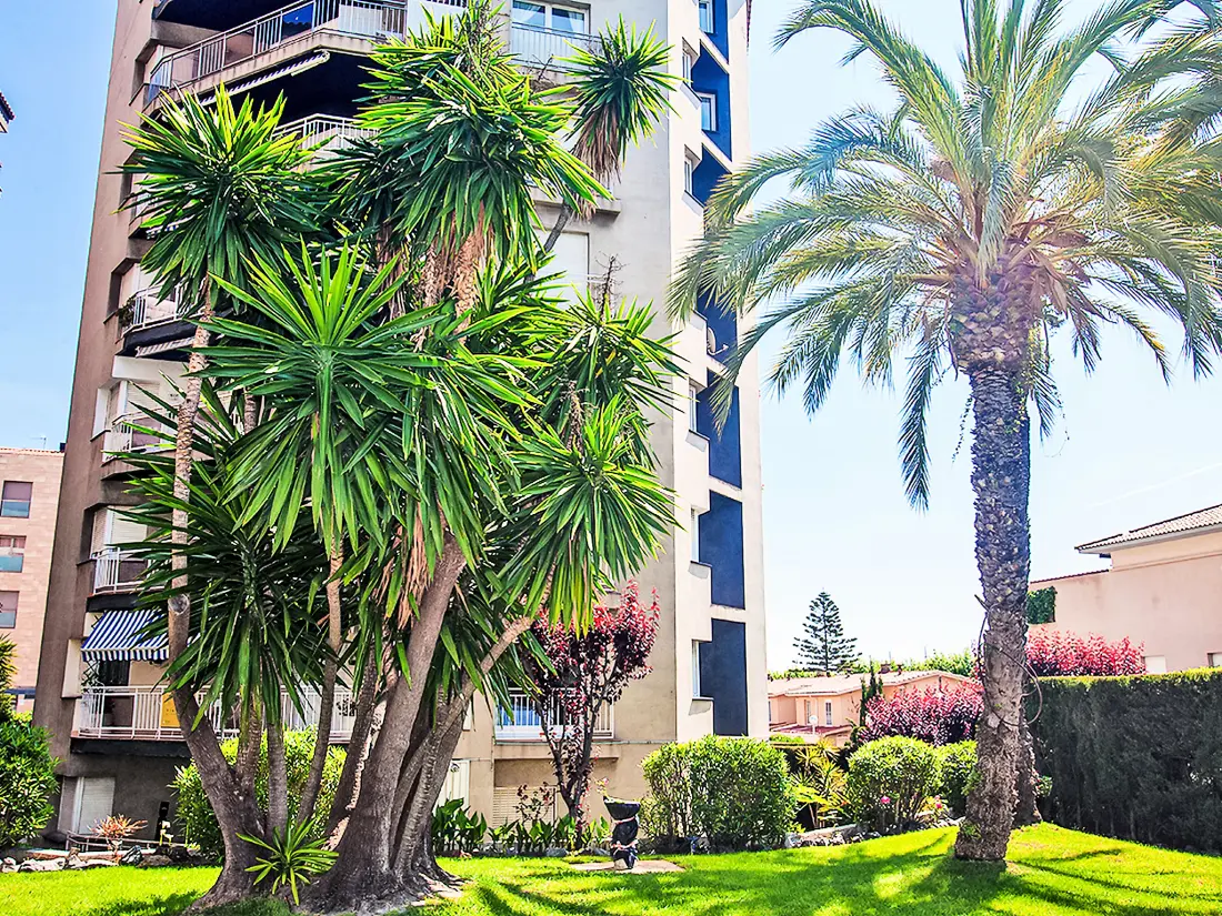 Résidence Edificio Blanqueries