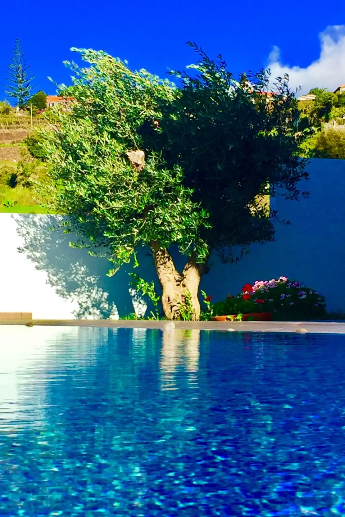 Maison de Vacances Madeira/Calheta