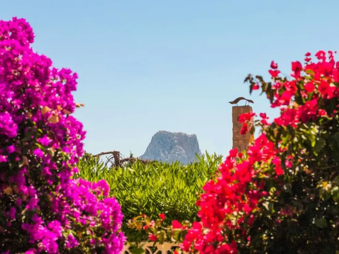 Maison de Vacances Calpe/Calp