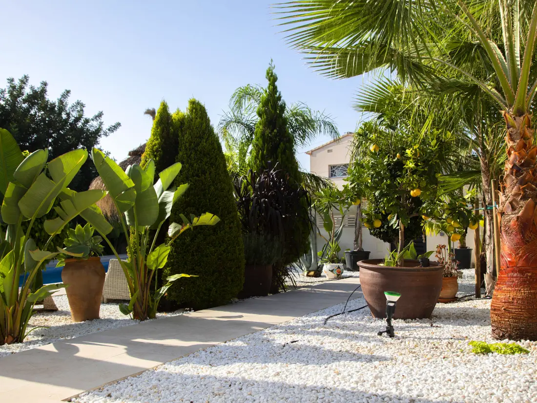 Maison de Vacances Calpe/Calp