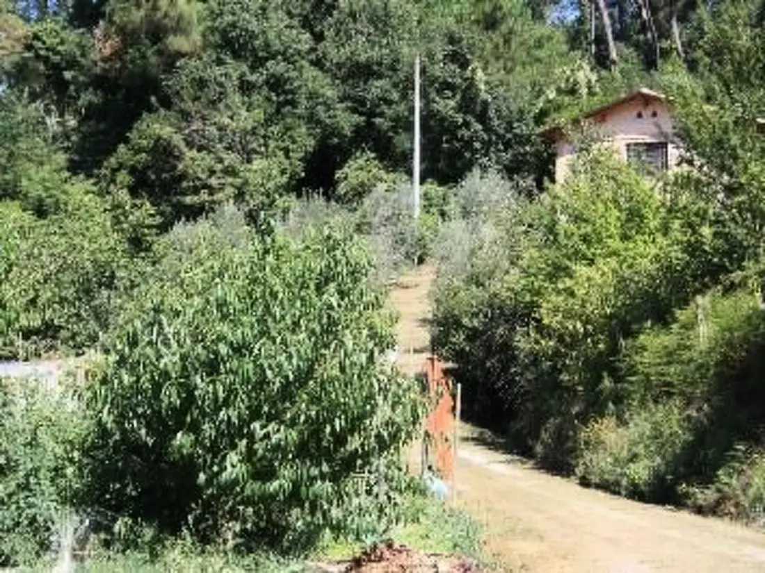 Maison de Vacances Camaiore