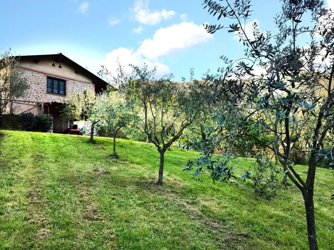 Maison de Vacances Camaiore