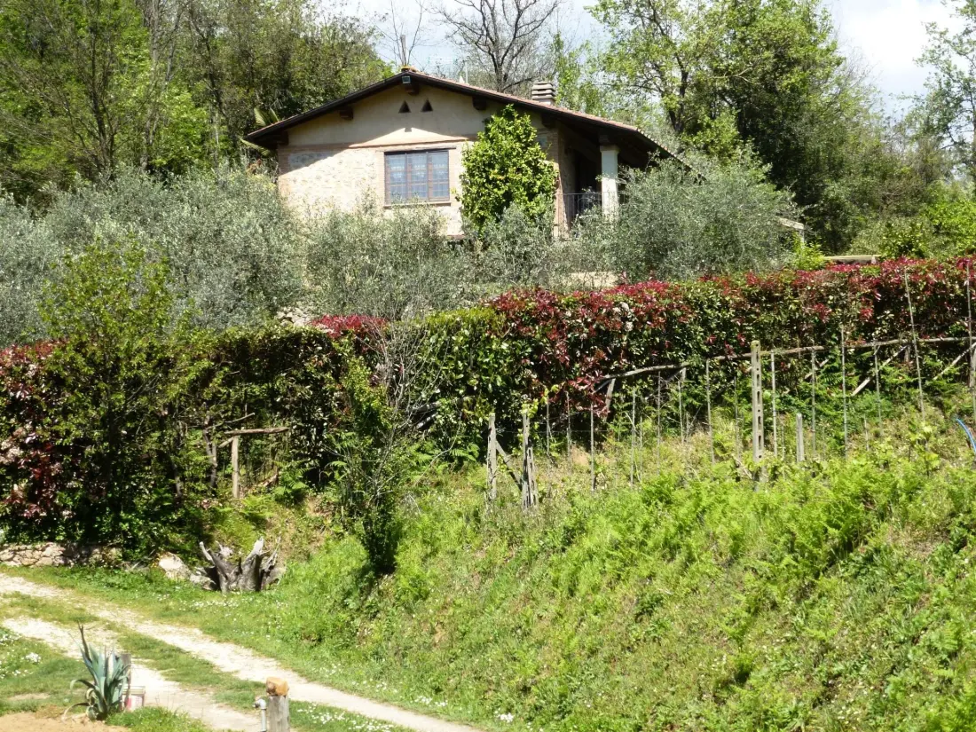 Maison de Vacances Camaiore
