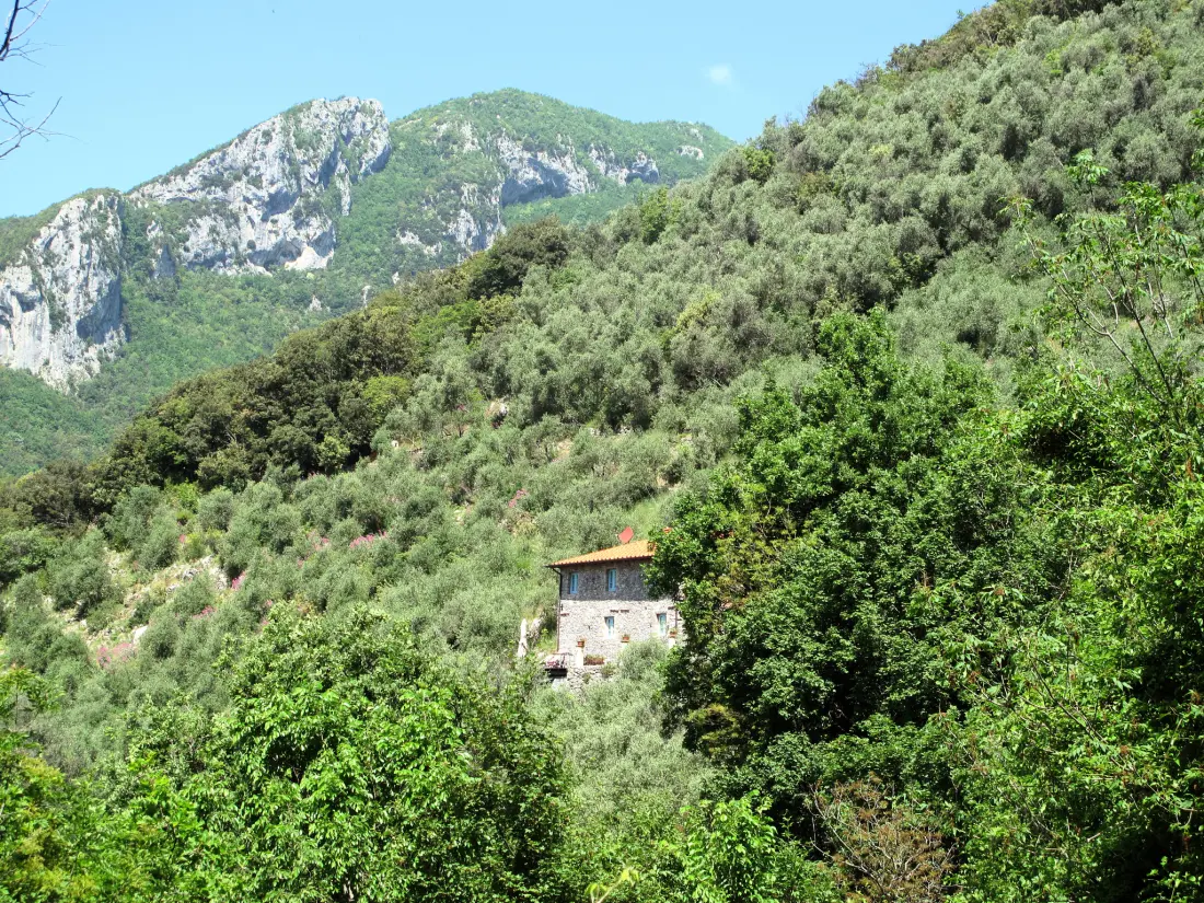 Maison de Vacances Camaiore