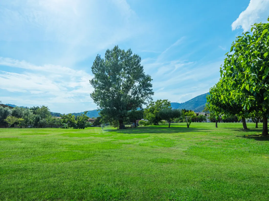 Maison de Vacances Camaiore