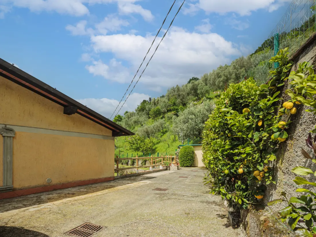 Maison de Vacances Camaiore