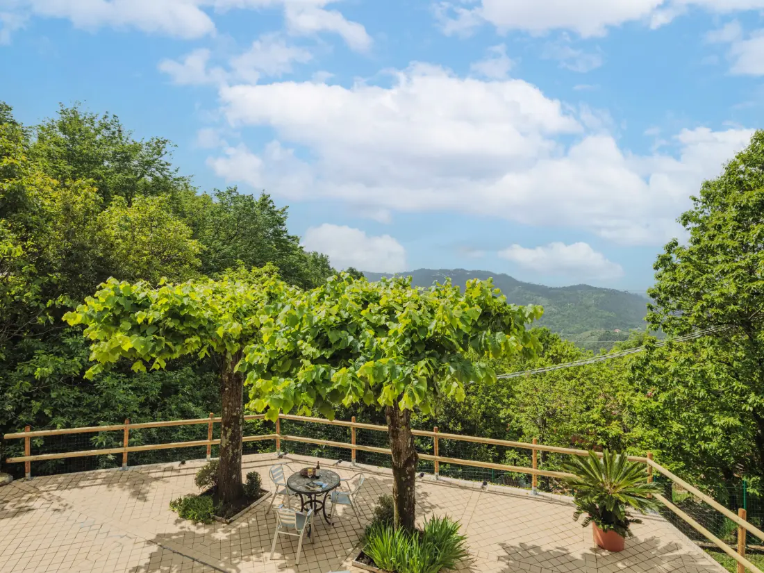 Maison de Vacances Camaiore