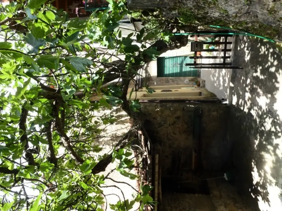 Maison de Vacances Camaiore