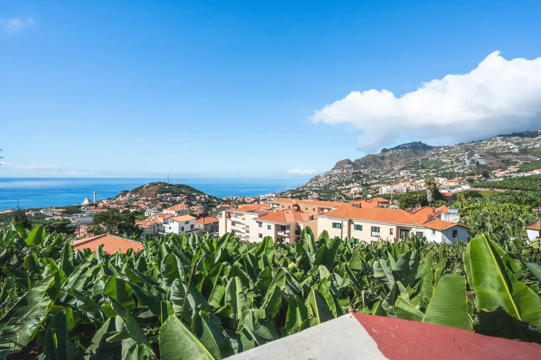 Appartements à Camara de Lobos (Madère)