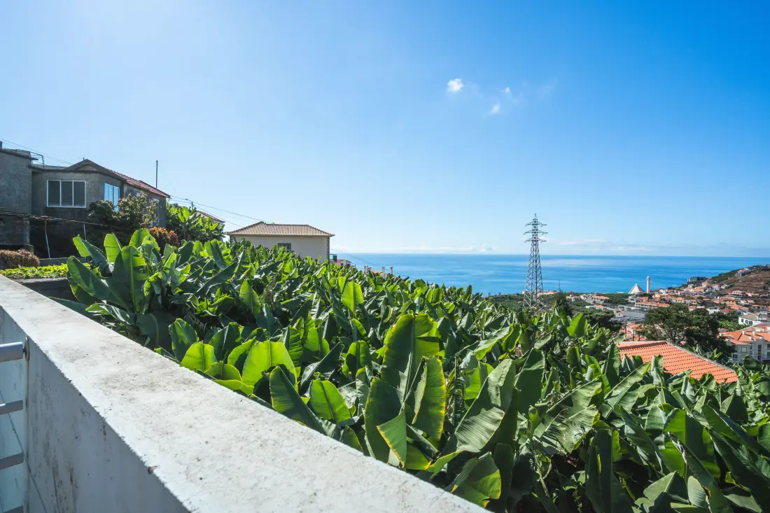 Appartements à Camara de Lobos (Madère)