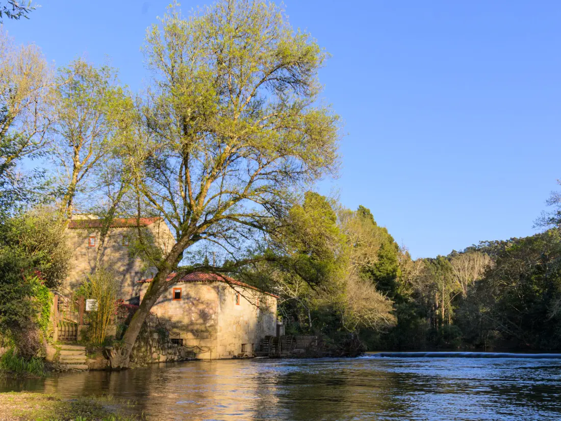 Maison de Vacances Caminha