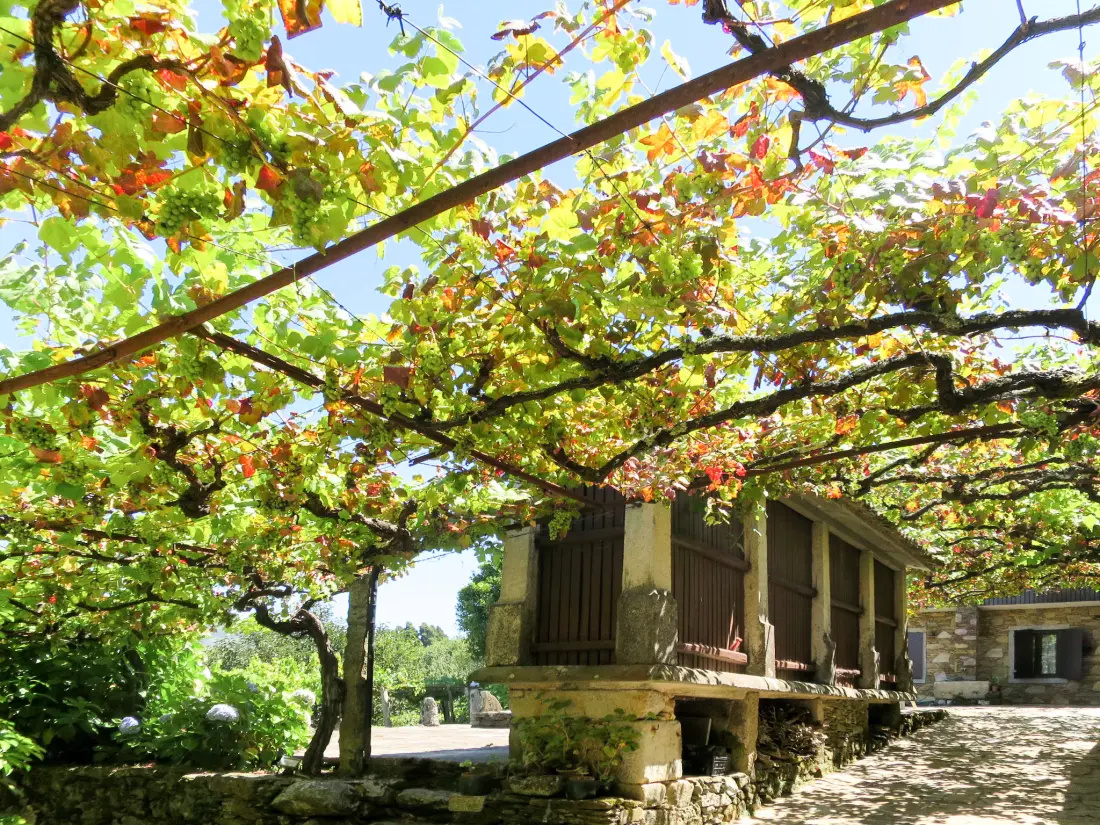 Maison de Vacances Caminha
