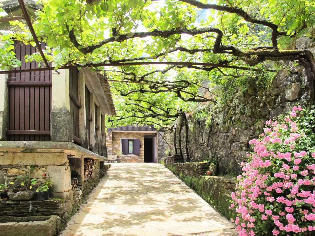 Maison de Vacances Caminha