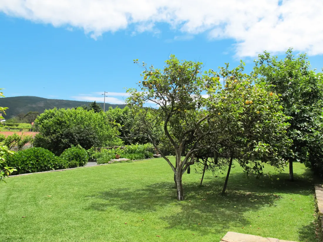 Maison de Vacances Caminha