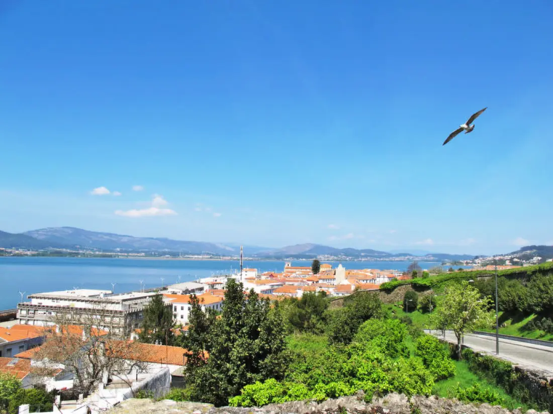 Maison de Vacances Caminha