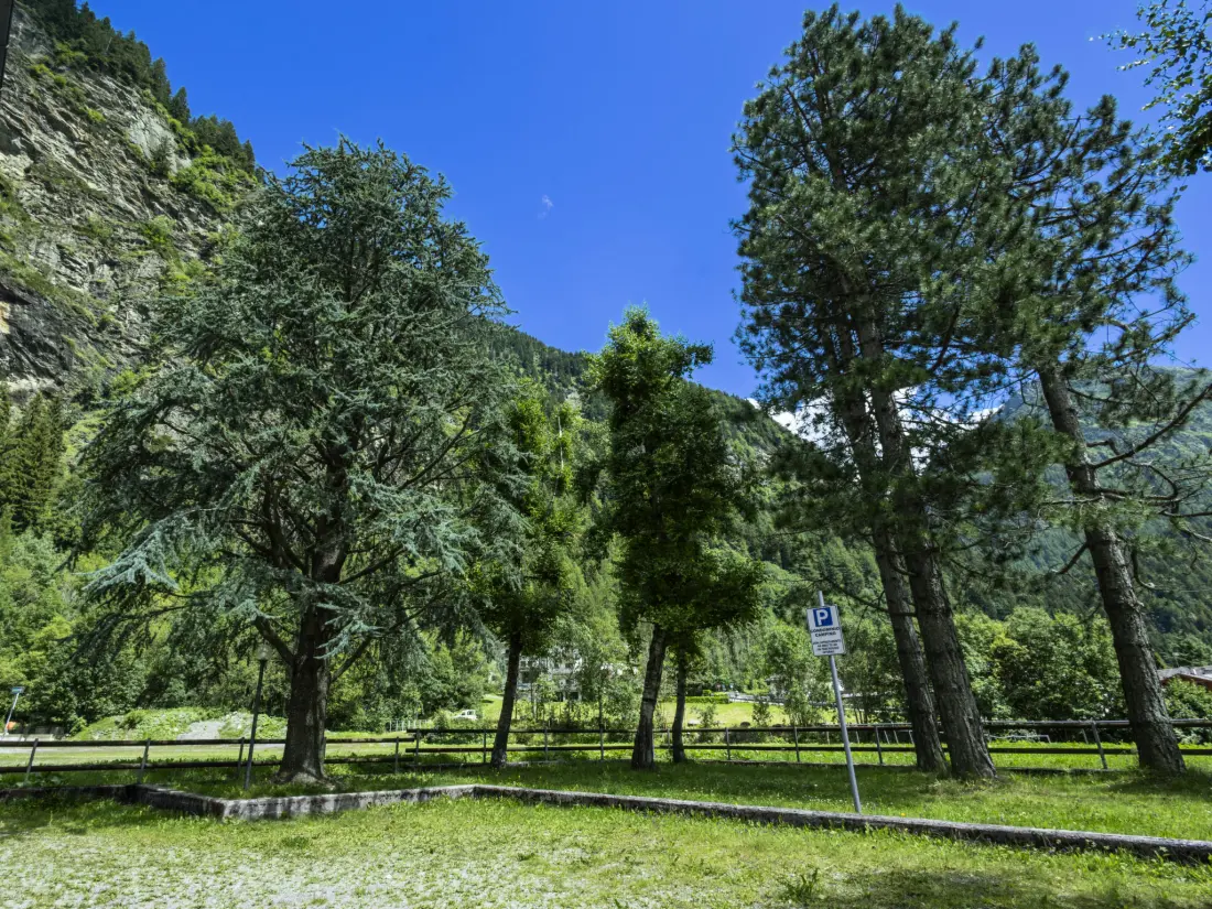 Résidence Leonardi Terrace