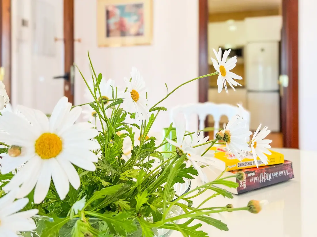 Maison de Vacances Campos