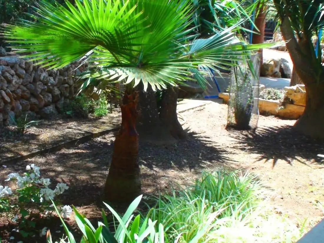 Maison de Vacances Campos