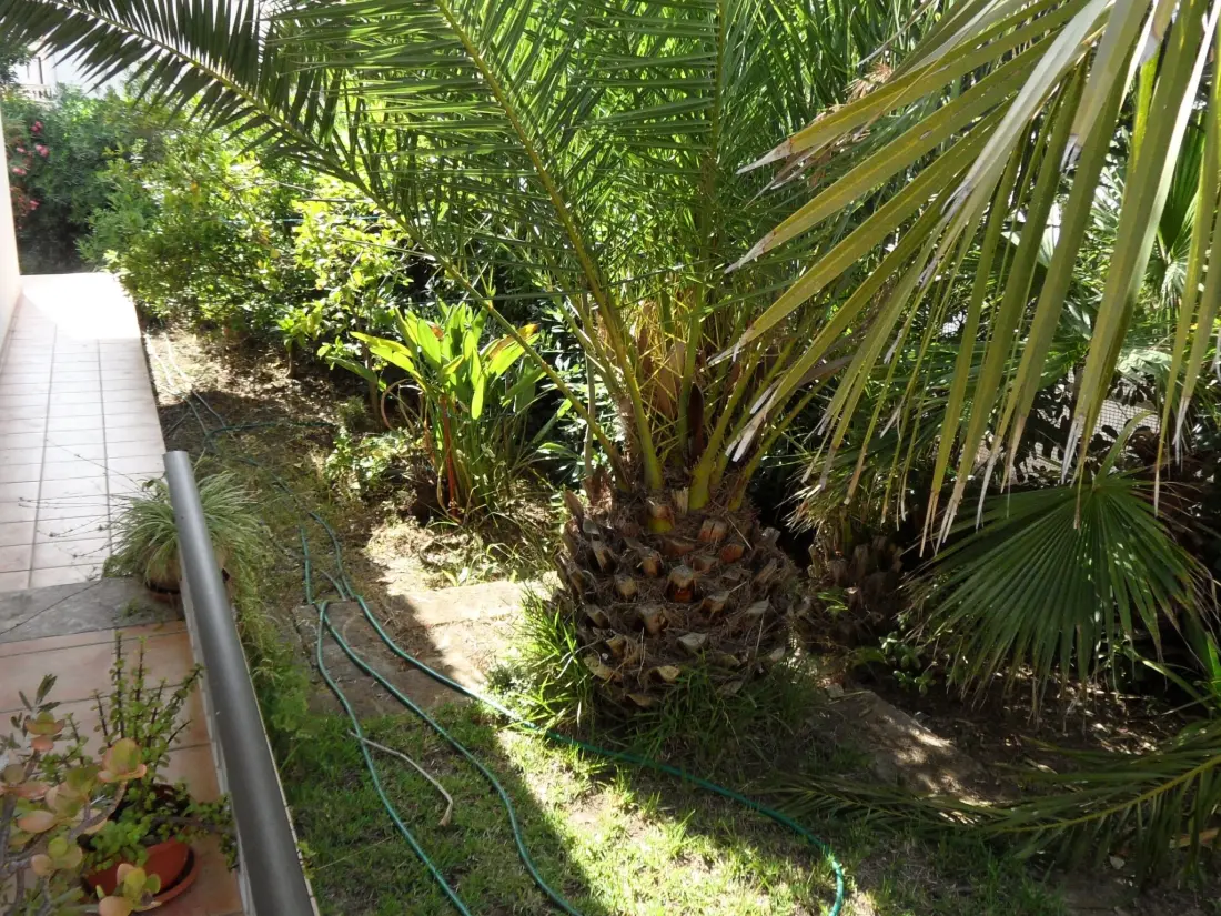 Maison de Vacances Can Picafort