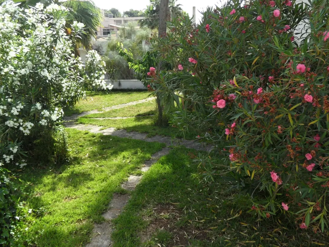 Maison de Vacances Can Picafort