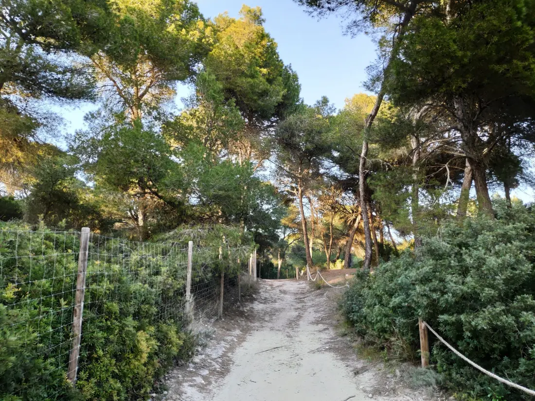 Maison de Vacances Can Picafort