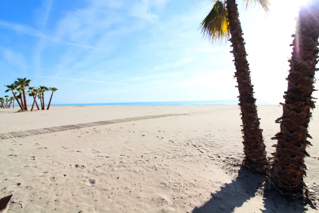 Appartements à Canet d'En Berenguer