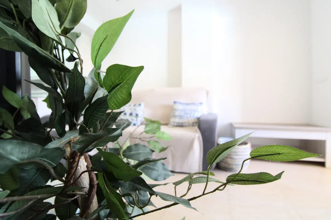Appartements à Canet d'En Berenguer