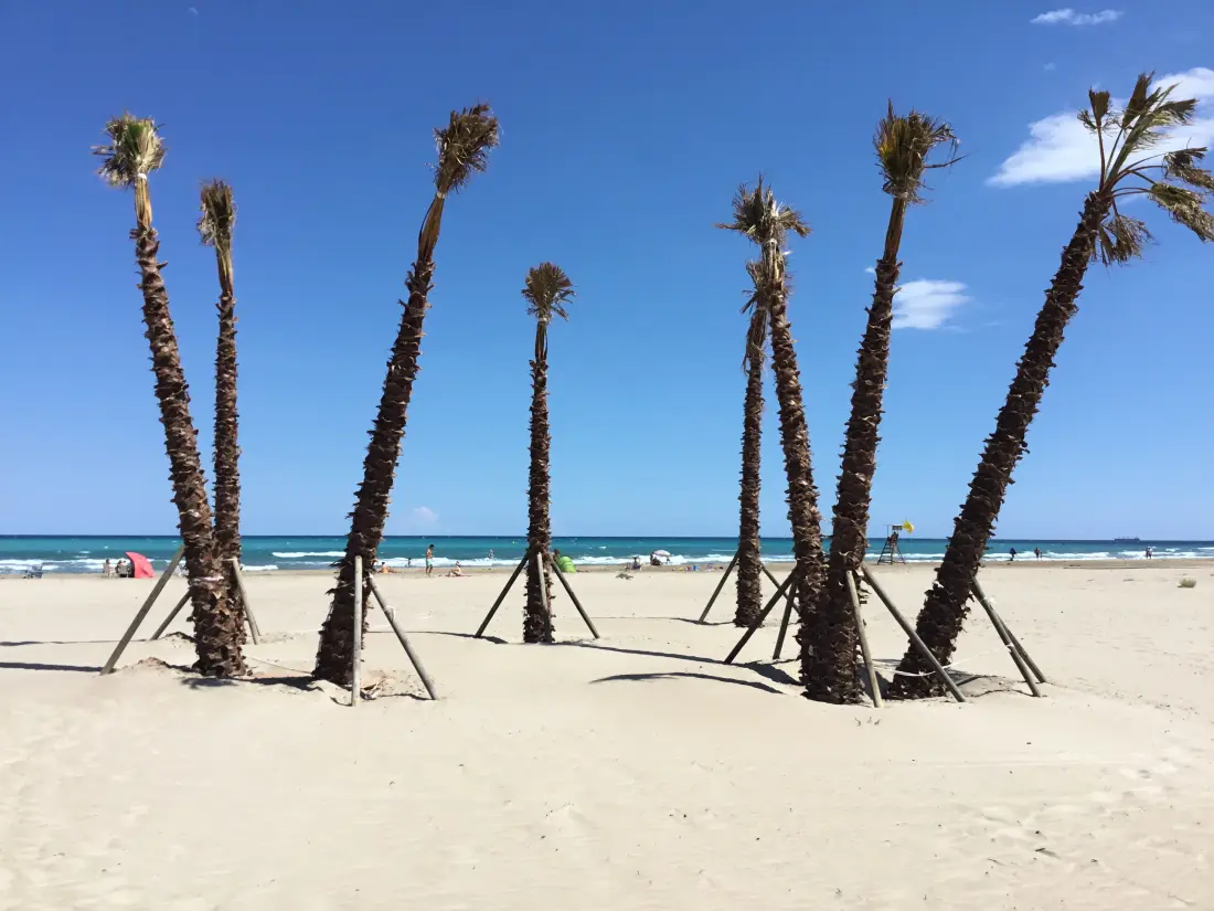 Appartements à Canet d'En Berenguer