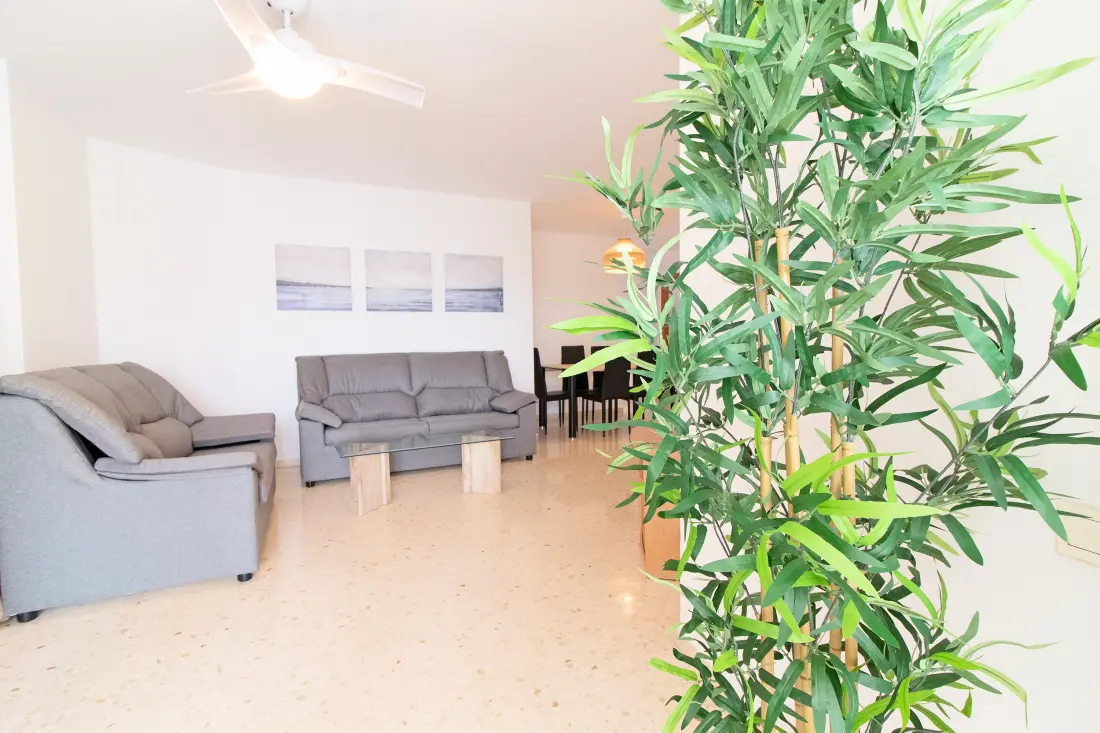 Appartements à Canet d'En Berenguer