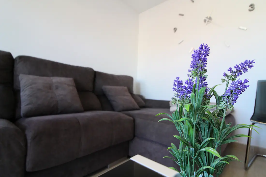 Appartements à Canet d'En Berenguer