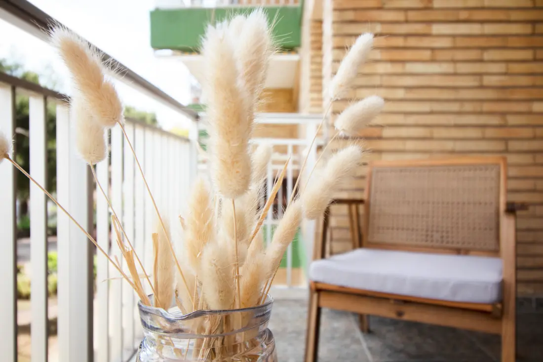Appartements à Canet d'En Berenguer