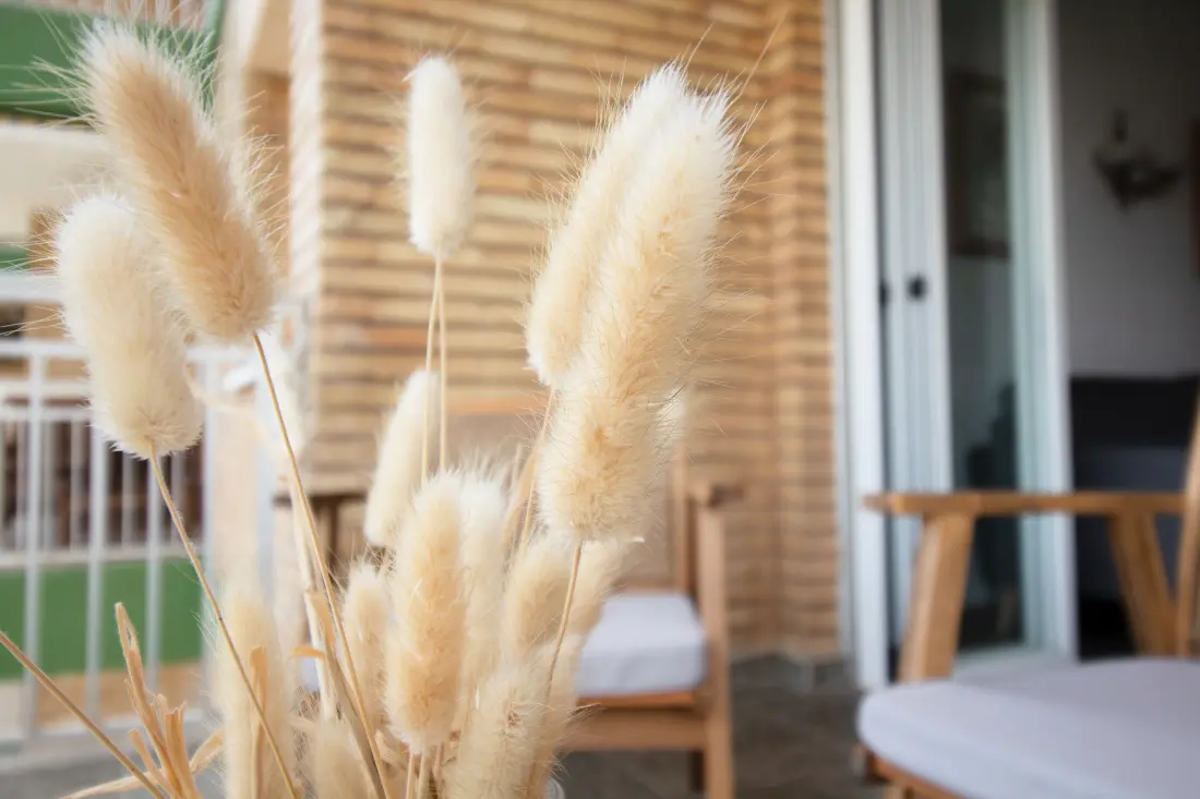 Appartements à Canet d'En Berenguer